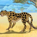Big Cats Eye Wonder Animals Alphabet The Parody Wiki Fandom