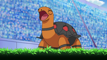 Torkoal Anime