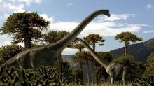 Brachiosaurus