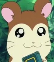 Maxwell in Hamtaro