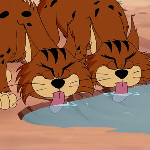 Big Cats Eye Wonder Animals Alphabet The Parody Wiki Fandom