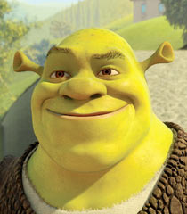 Shrek in Shrek Forever After