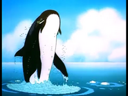 Killer Whale | The Parody Wiki | FANDOM powered by Wikia