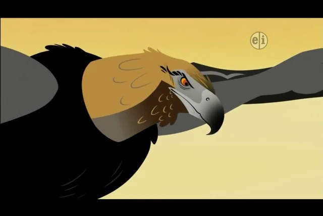 Image - Wedgie (Wild Kratts).png | The Parody Wiki | FANDOM powered by