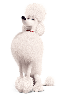 Secret Life Of Pets Wiki