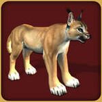 Big Cats Eye Wonder Animals Alphabet The Parody Wiki Fandom