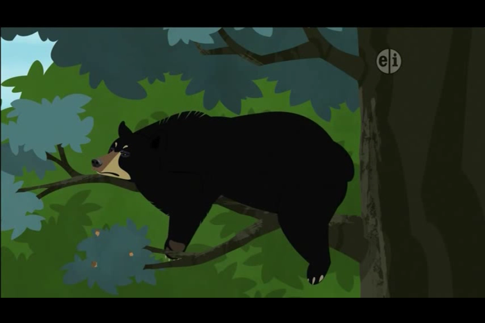 Eastern Black Bear | The Parody Wiki | FANDOM powered by Wikia