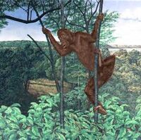 Sivapithecus The Parody Wiki Fandom