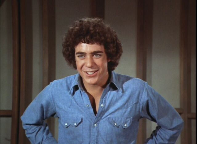 Image - Barry-Williams-as-Greg-Brady-in-Room-at-the-Top-the-brady-bunch ...