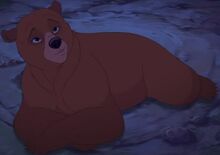 NitaBear
