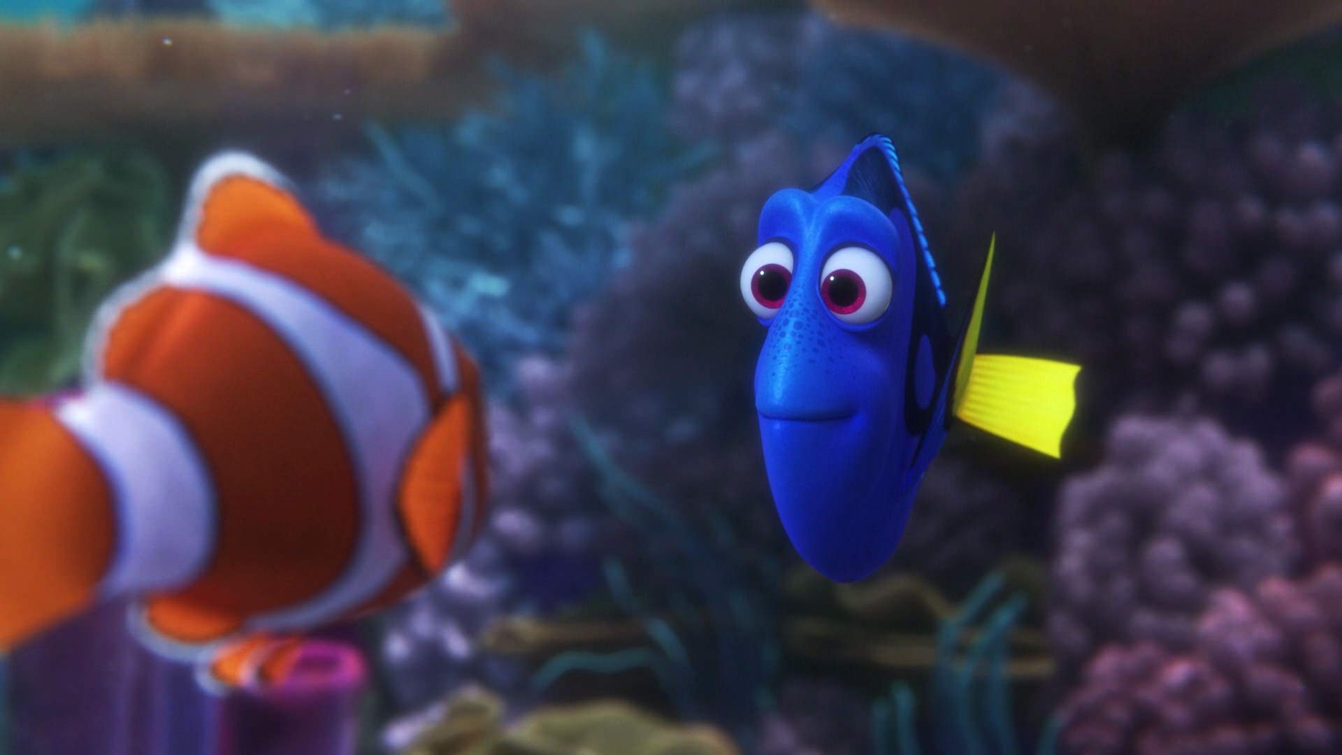 Finding Dory instal the new