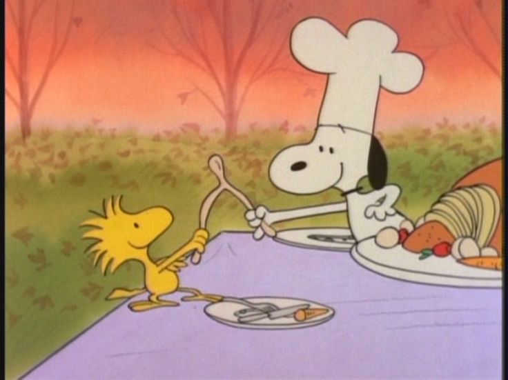 image 50877dbb08bc7e14953fa11518276af0 peanuts thanksgiving