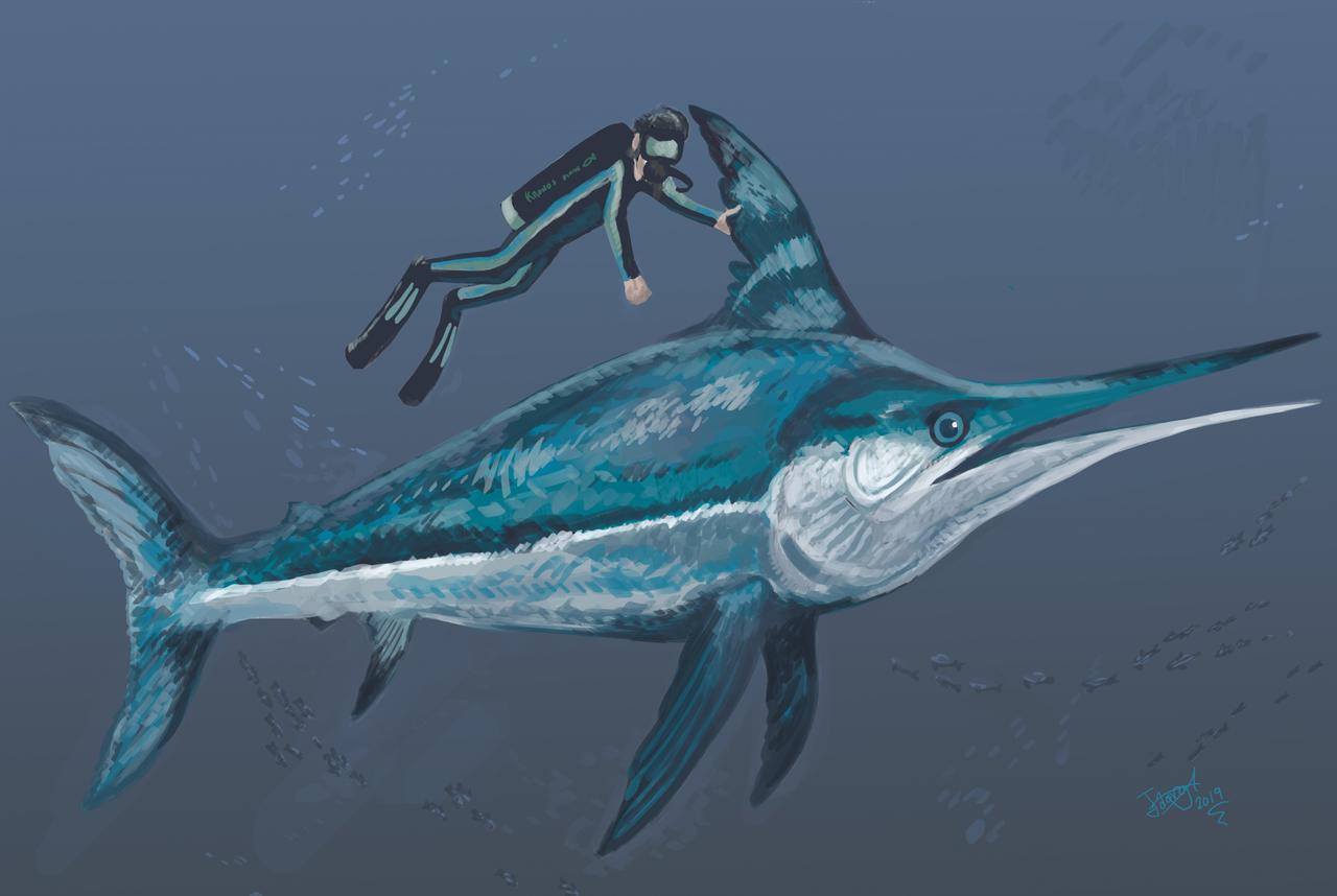 Xiphiorhynchus The Parody Wiki Fandom