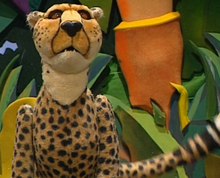 Muppet Cheetah