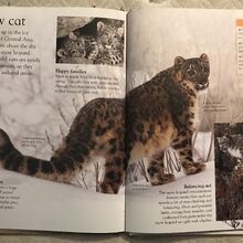 Snow Leopard The Parody Wiki Fandom