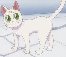 Artemis Crystal