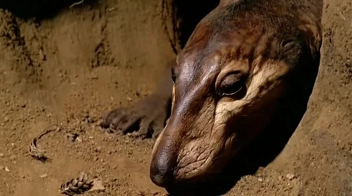 Thrinaxodon The Parody Wiki FANDOM powered by Wikia