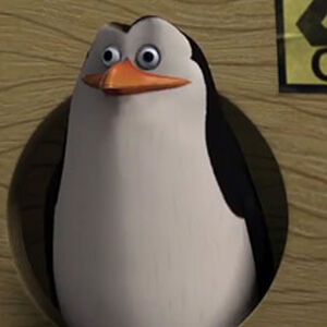 The Best Penguins Of Madagascar Memes Memedroid