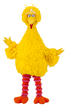 Big bird sesame street