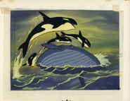 Killer Whale | The Parody Wiki | FANDOM powered by Wikia