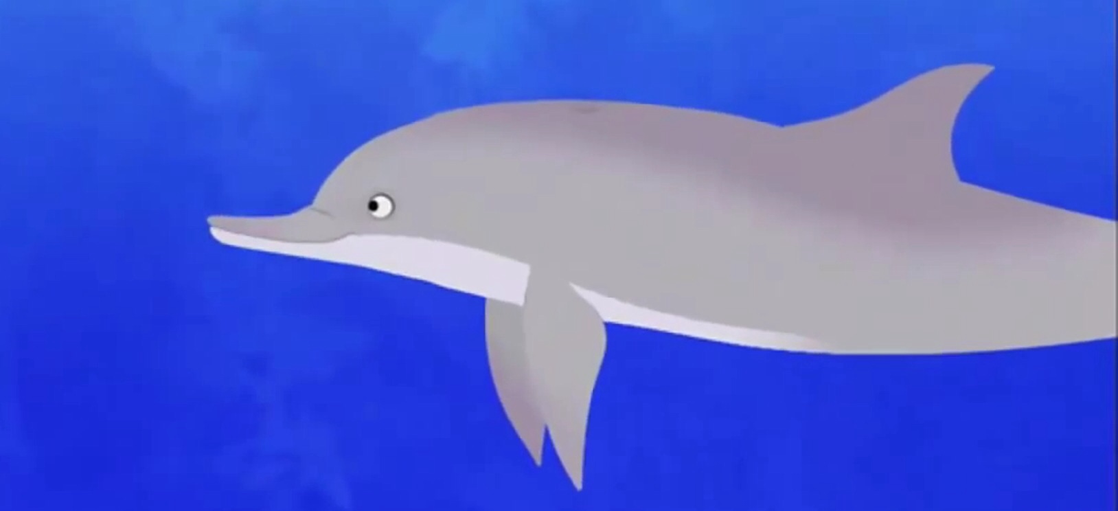 Image - BottlenoseDolphin (Wild Kratts).jpg | The Parody Wiki | FANDOM