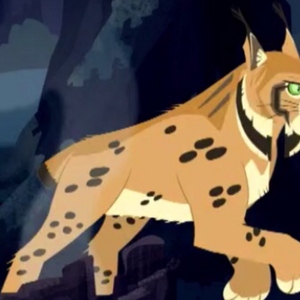 Big Cats Eye Wonder Animals Alphabet The Parody Wiki Fandom