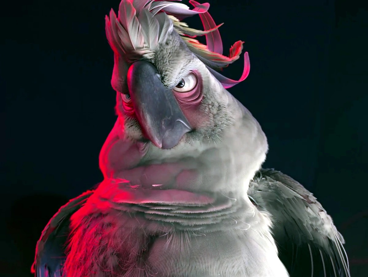 category-rio-characters-the-parody-wiki-fandom