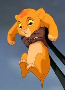 fluffy puffy simba