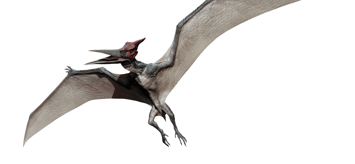 pteranodon pterodáctilo