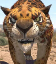Phango the Leopard