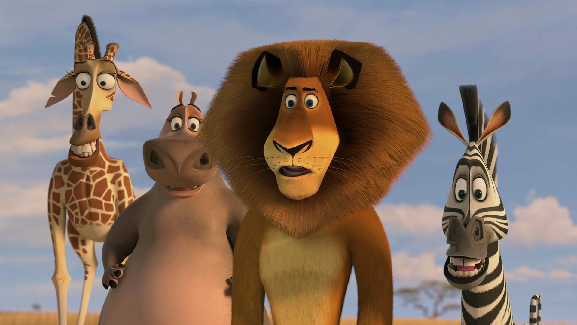 CategoryMadagascar Characters The Parody Wiki FANDOM powered by Wikia