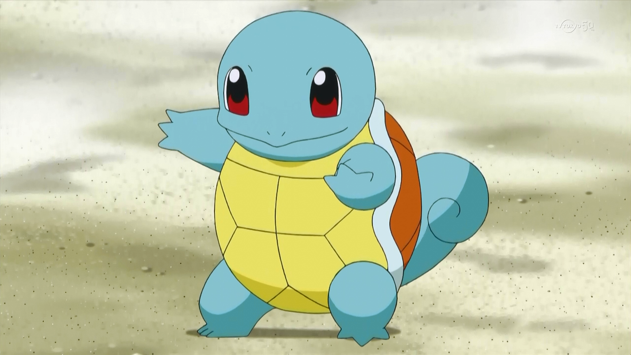 Výsledek obrázku pro squirtle