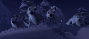 Wolves Frozen