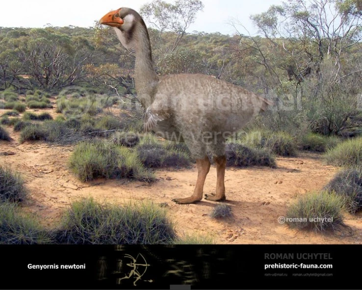 Image Genyornisnewtoni738x591.jpg The Parody Wiki FANDOM