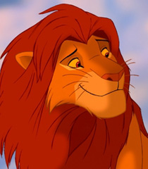 image simba in the