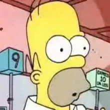 Homer Simpson The Parody Wiki Fandom