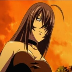 Get Wallpaper Ikkitousen Revenge Of Chuutatsu Shibai Voices The Parody Wiki Free HD