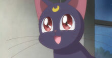 Luna Crystal