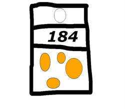 Basketball contest