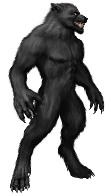 Werewolf