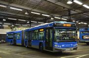 Victoria bus