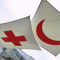 International Red Cross Particracy Wiki Fandom