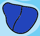 Vorona Map