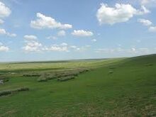 Unknown-1