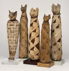 Mummified cats