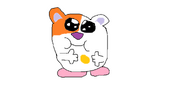 Corey the Hamster