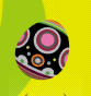 KacchindongaEgg