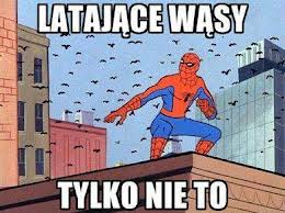 Latające wąsy