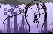 Tarantula