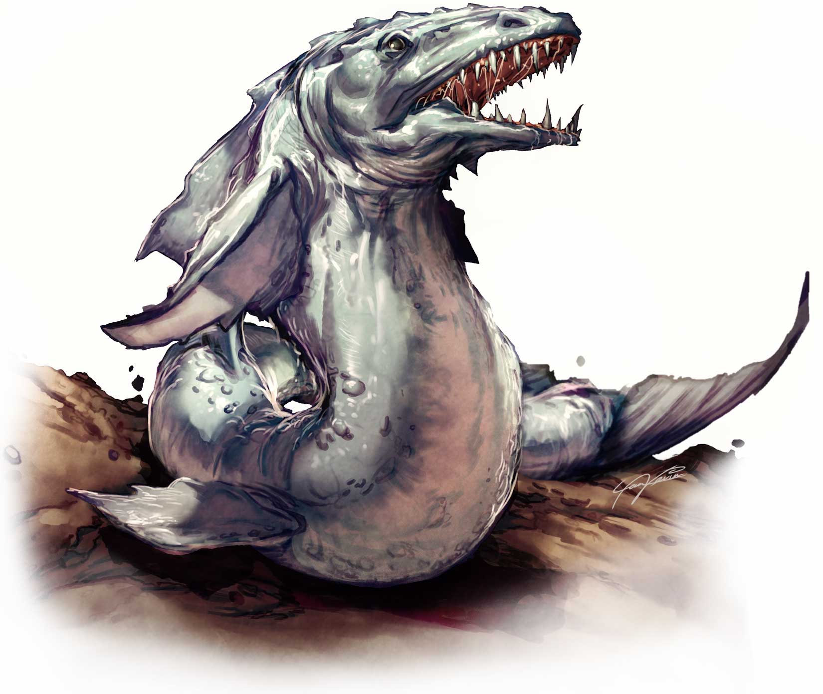 swamp barracuda pathfinder wiki fandom powered by wikia size categories pathfinder
